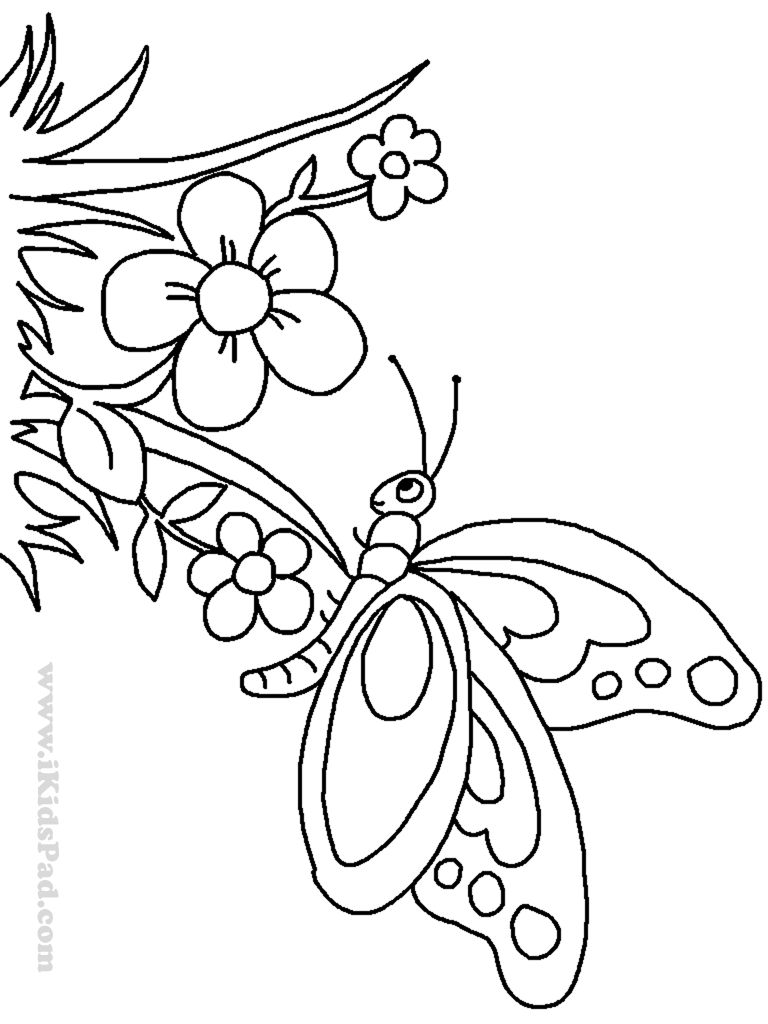 Featured image of post Beautiful Butterfly On Flower Drawing / Soft pink or yellow flowers, blue lilies, delicate buds, leaves and colorful butterflies on rusty backgrounds are used to design the set flora, that you will use again and again.