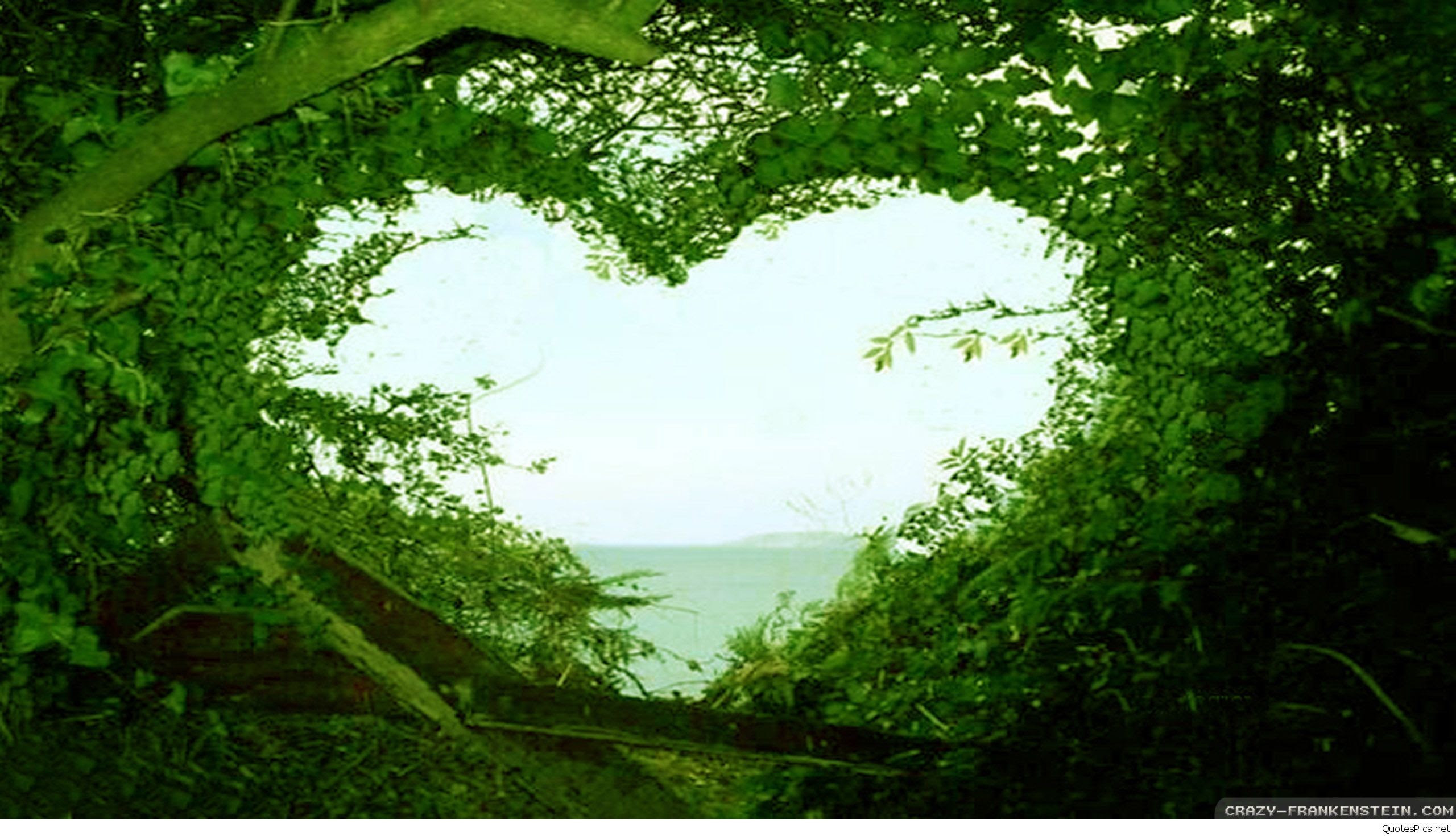 19+ Attractive Beautiful Nature Wallpaper Hd For Mobile - Basty Wallpaper
