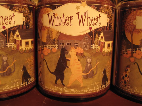 Winter Wheat