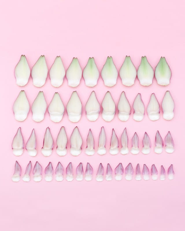 A Colorful Winter: Organized Fruits and Vegetables Photographed by Florent Tanet A Colorful Winter: Organized Fruits and Vegetables Photographed by Florent Tanet vegetables fruit food