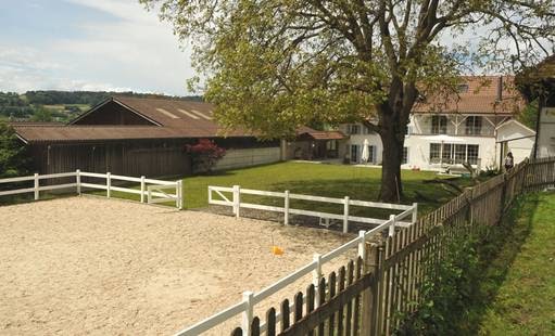 Mieten Haus Mit Pferdestall Tinatin Khimshiashvili