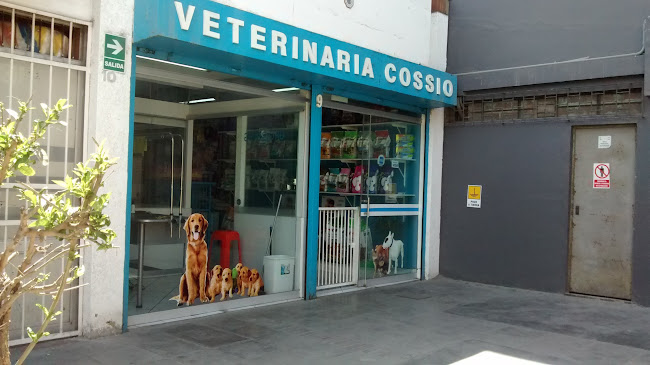 Veterinaria Cossio - Veterinario