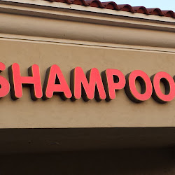 Shampoo's Salon