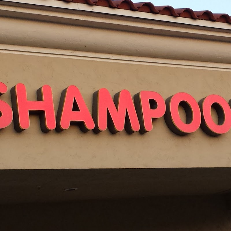 Shampoo's Salon