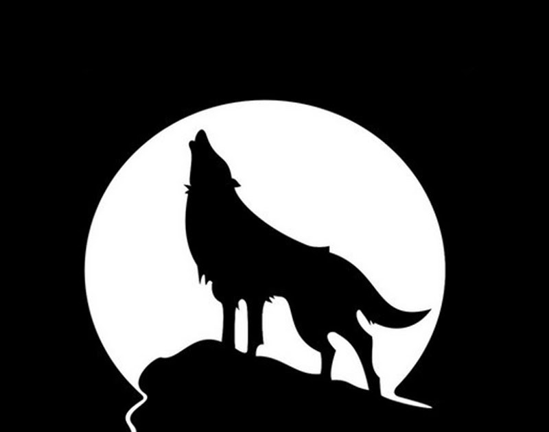 Gambar Serigala Logo Bari Gambar