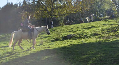 Centre équestre Randier farm : Ferme avec Location de gîtes, Équitation, pension chevaux, vente de viande de vache/boeuf, élevage staffordshire bull terrier et dogue allemand dans l'Allier Ferrières-sur-Sichon