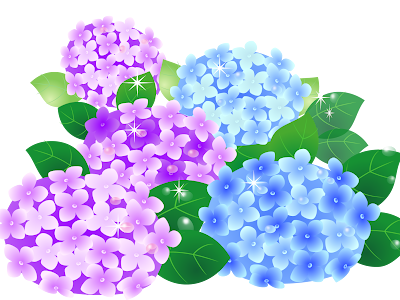 √画像をダウンロード かわいい 紫陽花 イラスト 壁紙 522922