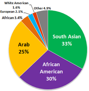 Ethnic composition of American Muslims, accord...
