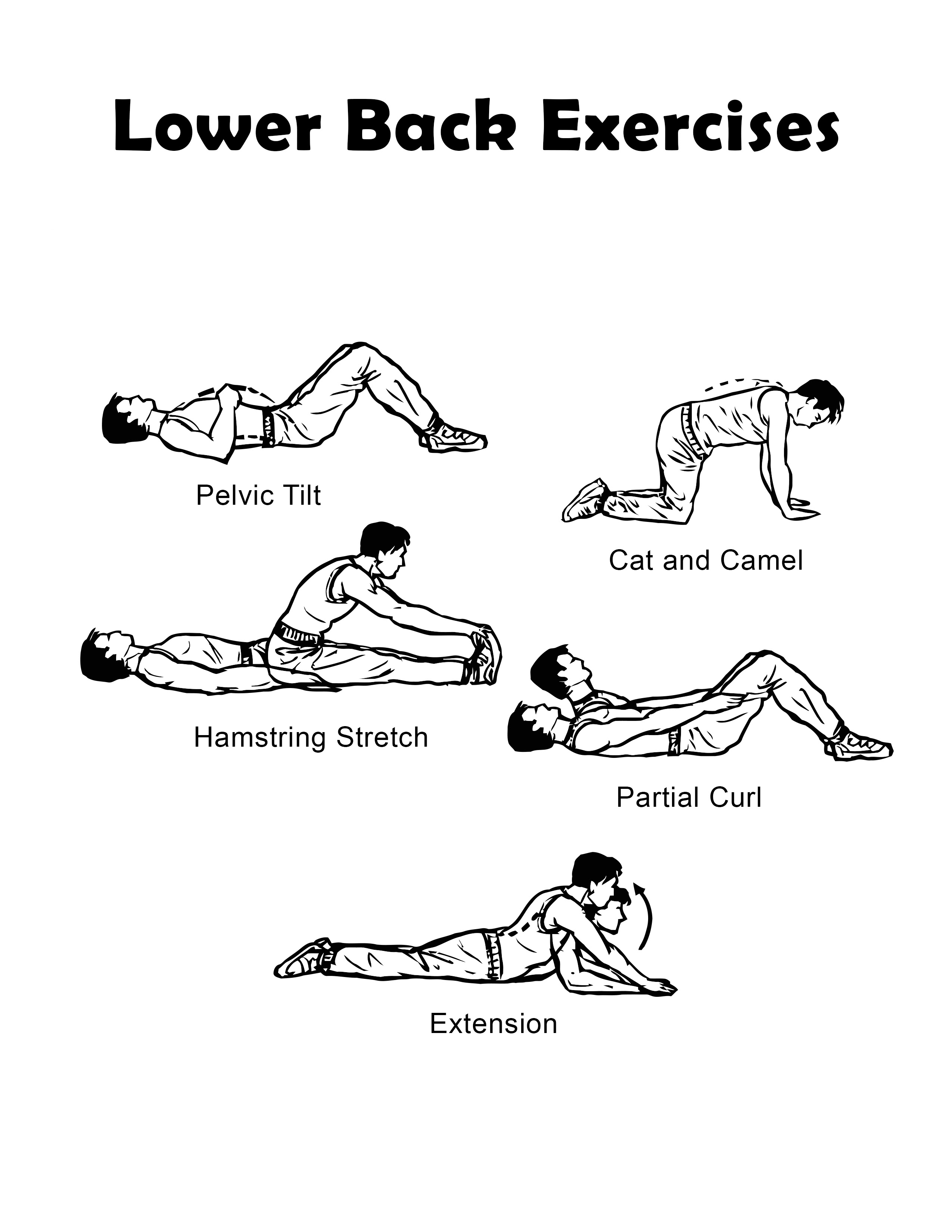 lower-back-muscles-exercises-6-best-exercises-for-lower-back-pain