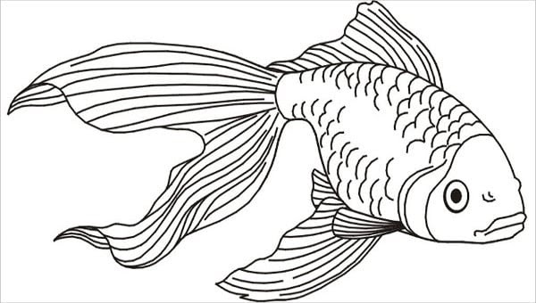 Coloring Pages Of Fish For Preschoolers / Fish Color Pages to Print