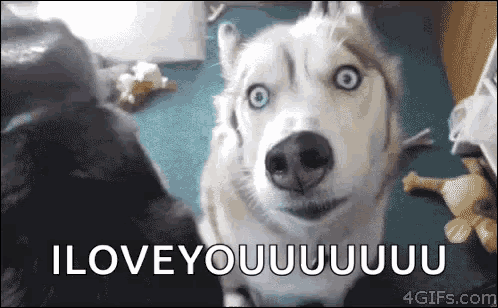 Cute Funny I Love You Gif - Jameslemingthon Blog