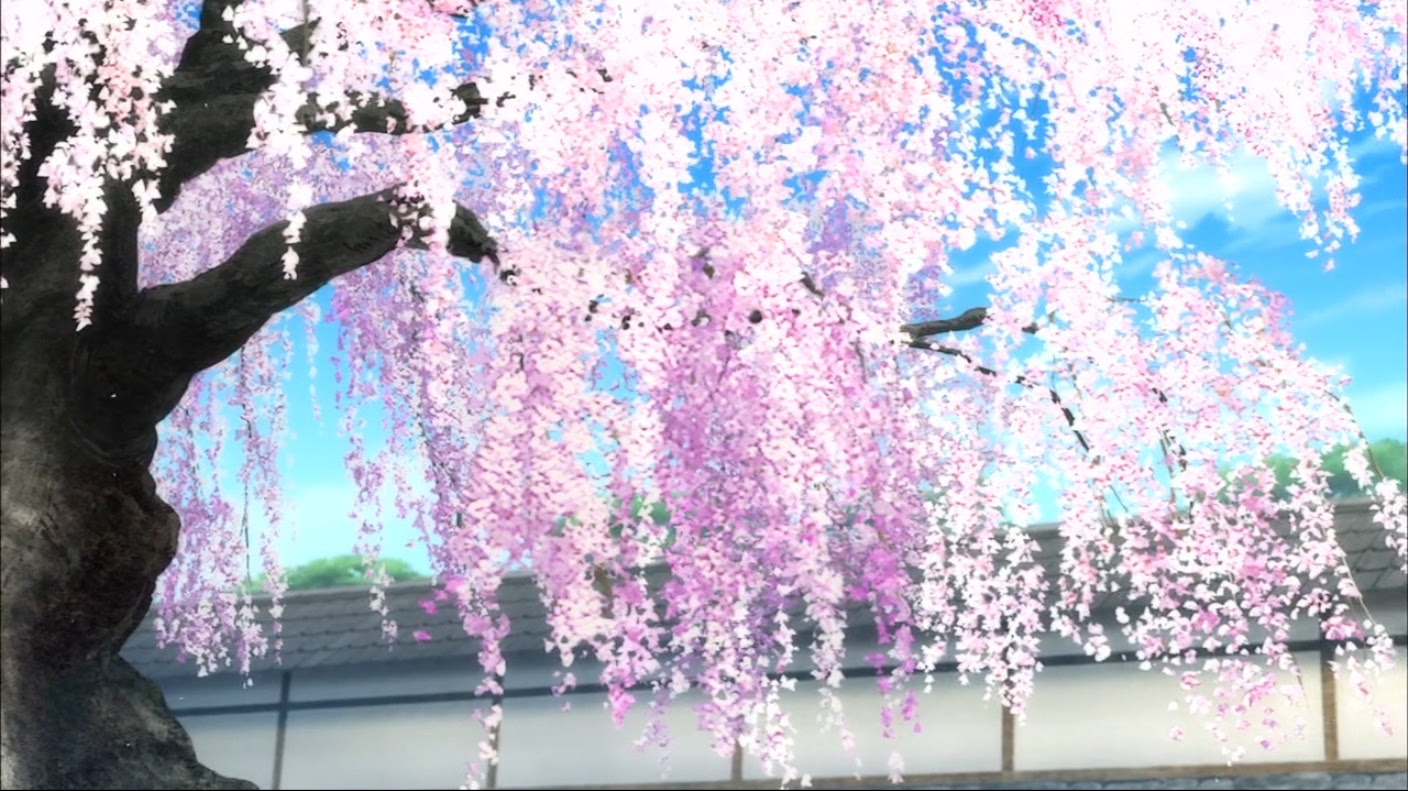 Ultra HD Scenery Anime Wallpaper Cherry Blossom Background