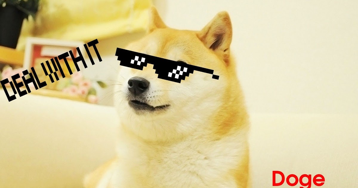 Image Id Roblox Doge Imageki - doge image id roblox