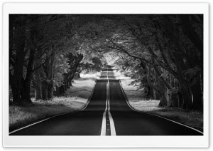 Best Of Wallpaper Black And White Aesthetic Pictures wallpaper