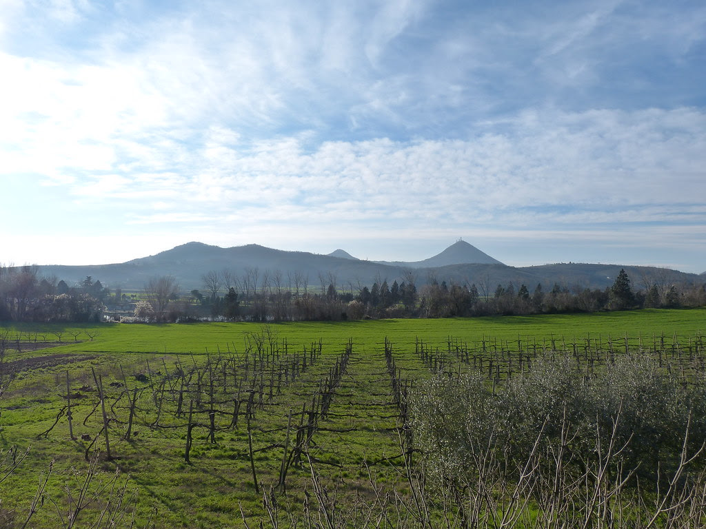 Colli Euganei