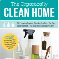 tricks cleaning tips spring organically clean having