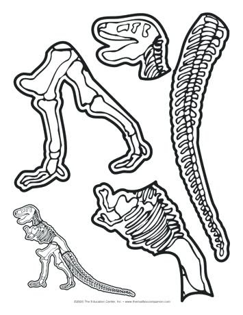 Coloring Pages Of Dinosaur Bones - 123+ SVG Images File