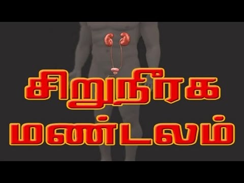 Body Parts In Tamil Meaning - Human Body Anatomy And Physiology Of