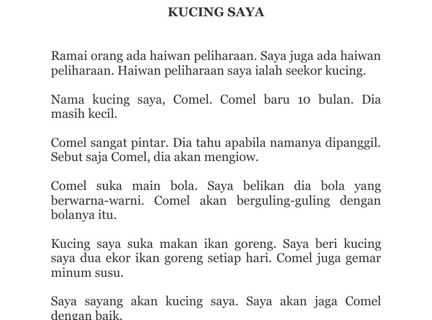 Contoh Karangan Cita Cita Saya Menjadi Guru