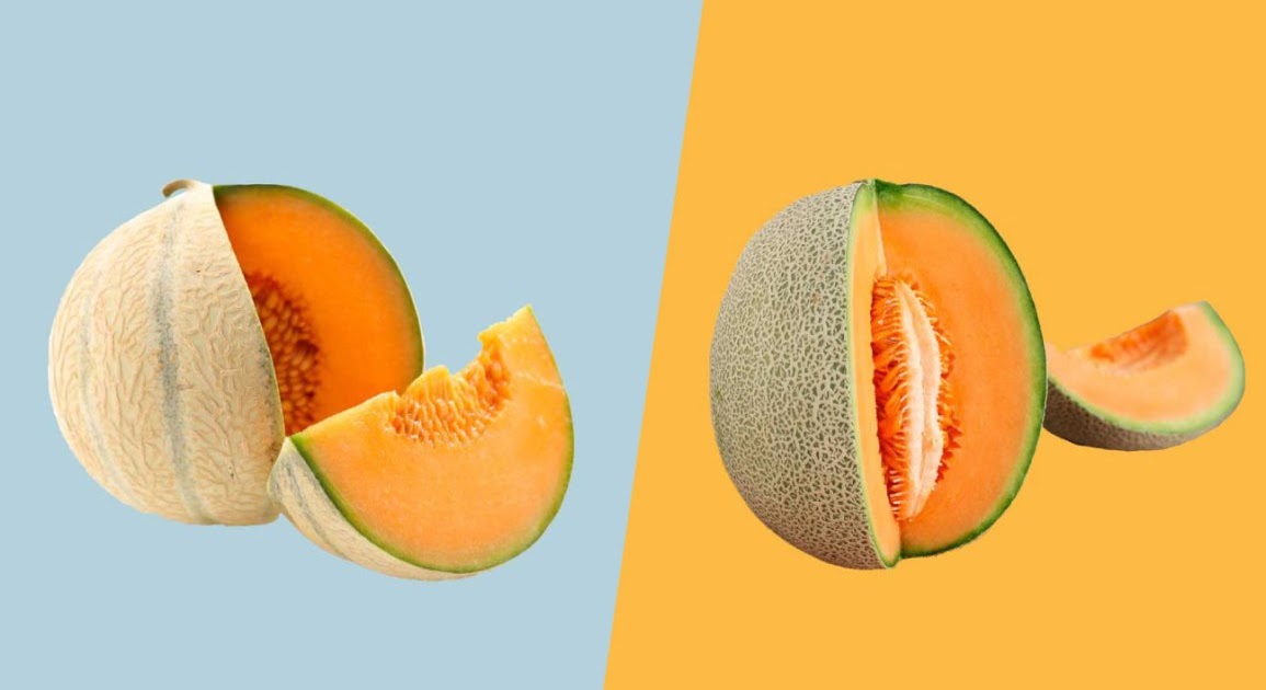cantaloupe melon pregnancy