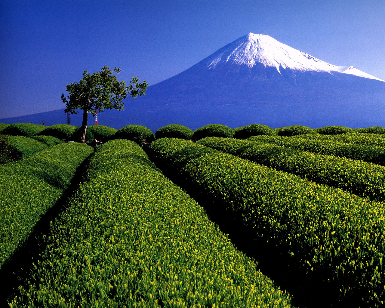 Jongeres ベスト 富士山 壁紙 フリー