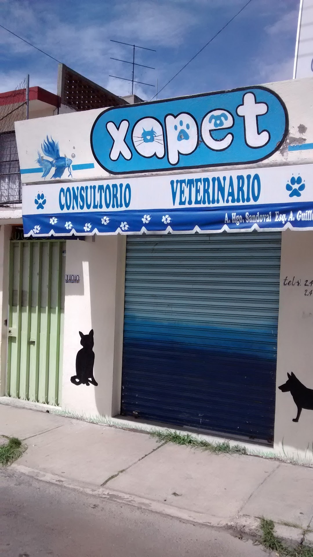 Xapet