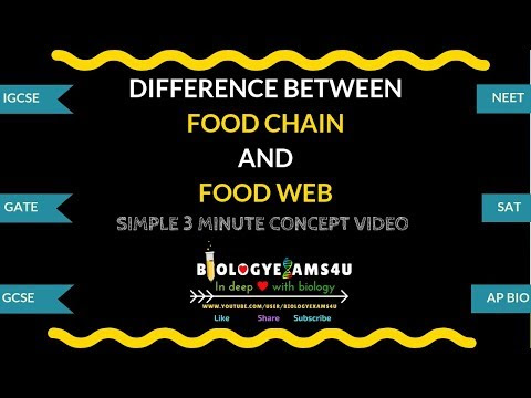 Difference between Food chain and Food web (Food chain vs Food Web)