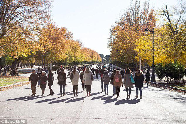 They visited the famous El Retiro park (pictured) and explored the city's Christmas markets