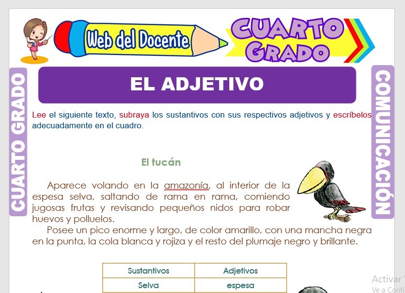 Clases De Adjetivos Para Niños De Primaria Variaciones Clase