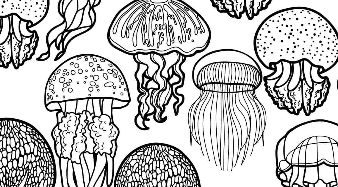 1000+ images about COLORING PAGES on Pinterest Dover