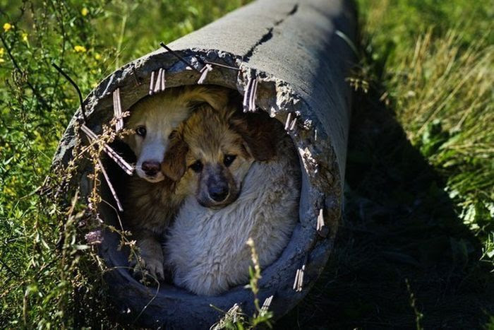 Collection of emotional pictures. Part 18 (40 photos) Collection of emotional pictures. Part 18 (40 photos)