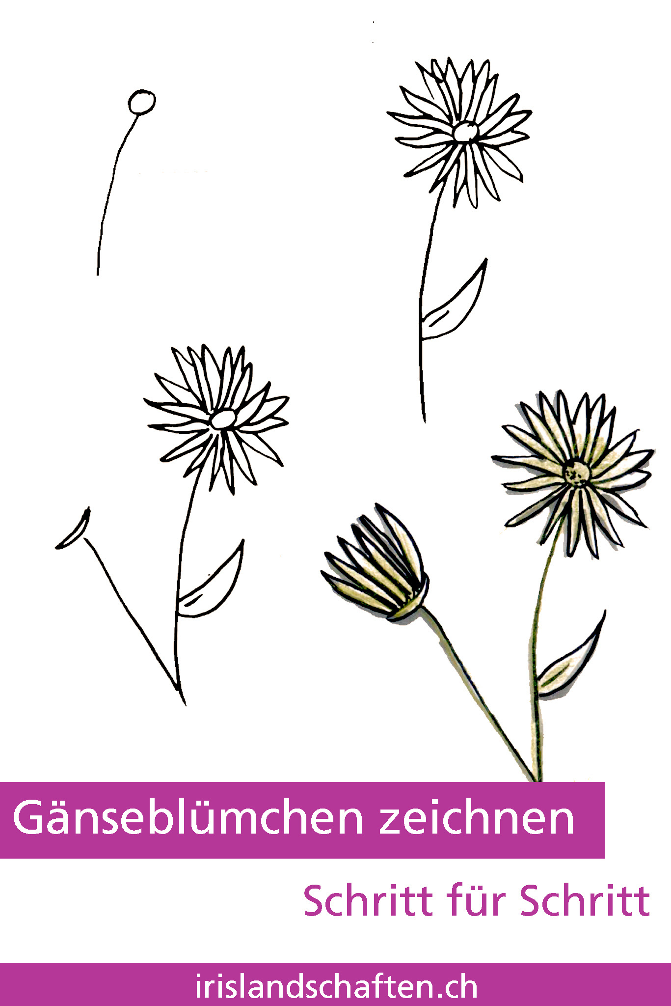 33 Blumen Zeichnen Leicht Besten Bilder Von Ausmalbilder