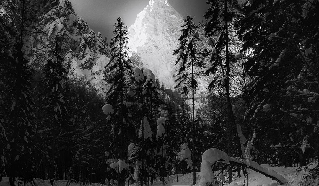 32+ Black And White Nature Iphone Wallpaper - Basty Wallpaper