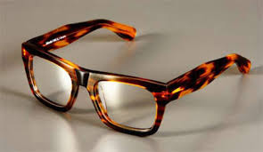 Tortoise Shell Glasses Tortoise Shell Glasses