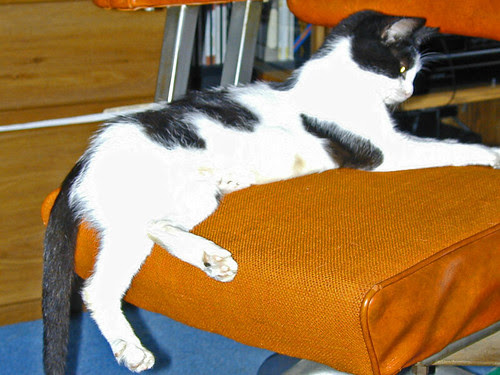 Maus takes a break