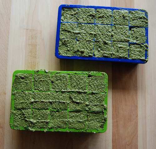 Kale Basil Pesto | Rebecca Mongrain's Blog