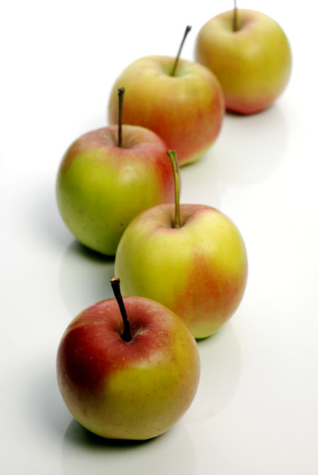 Pink Lady Apples© by Haalo