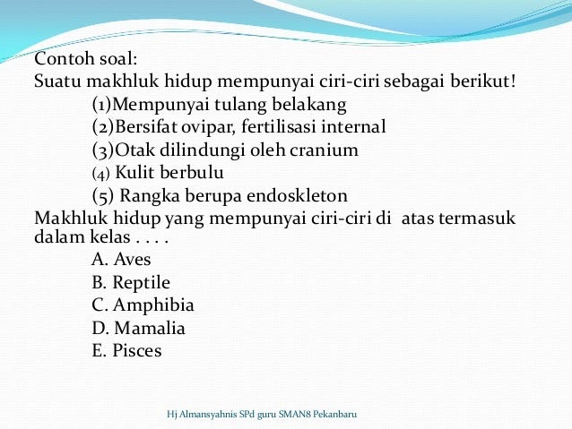  Contoh  Hewan  Kelas  Amphibia  Contoh  Oha