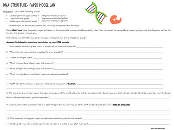 Dna Replication And Protein Synthesis Virtual Lab Sheet Answer Key