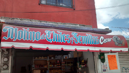 Molino de Chiles y Semillas Cesar