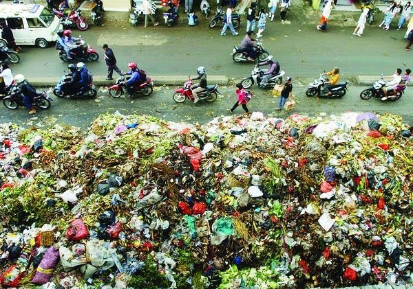  Berikan  Contoh  Bentuk Pemanfaatan Limbah  Organik  Seputar 