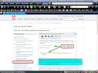 adobe flash manager 1