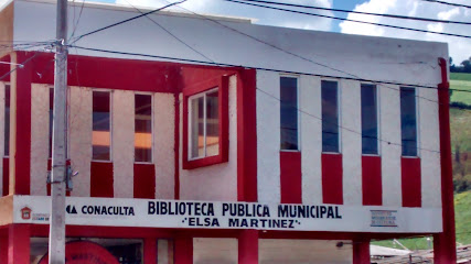 Biblioteca Pública Municipal Elsa Martínez