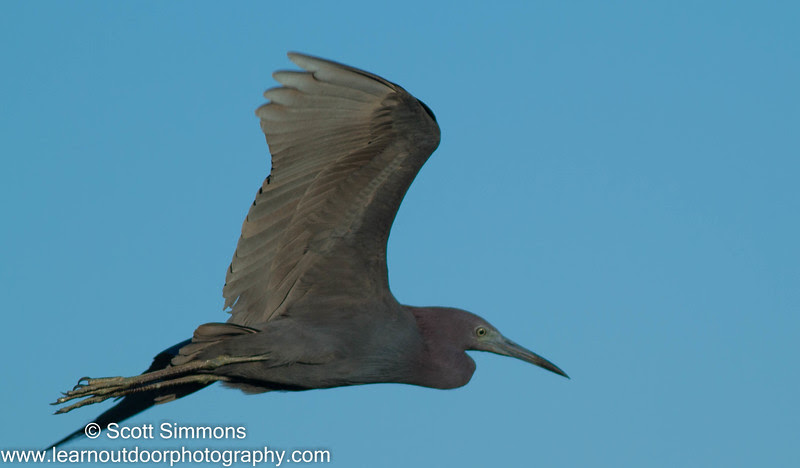 Photo & Video Sharing by SmugMug Photo & Video Sharing by SmugMug