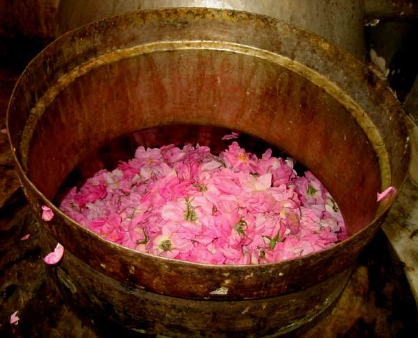 Hand-crafted Rosewater