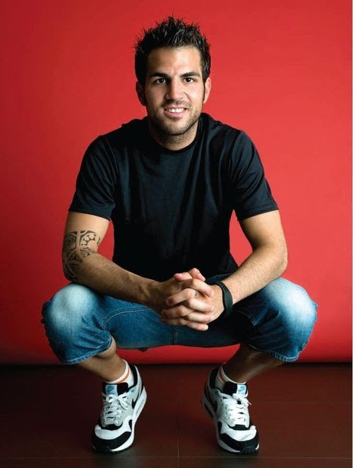 fabregas cesc