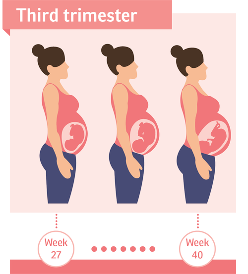 road trip 3rd trimester