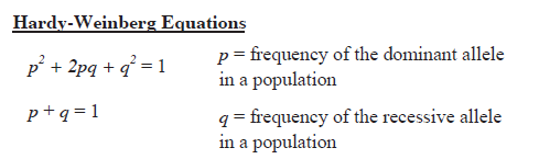 The Hardy Weinberg Equation Pogil Answers Population Genetics And The Hardy Just Answers Your Sum Should Be Equal To One Wilderust