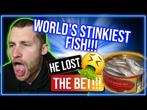 SHELDON LOST A BET!? STINKY FISH CHALLENGE! | Cryptocurrency News