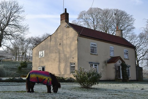 Dec 12.12 Caistor 030
